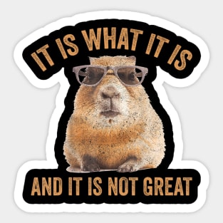 It Is What It Is And It Is Not Great Capybara Sticker